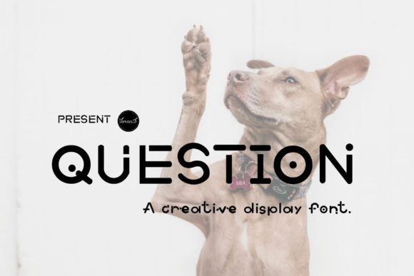 Question Font for Business Branding and Design